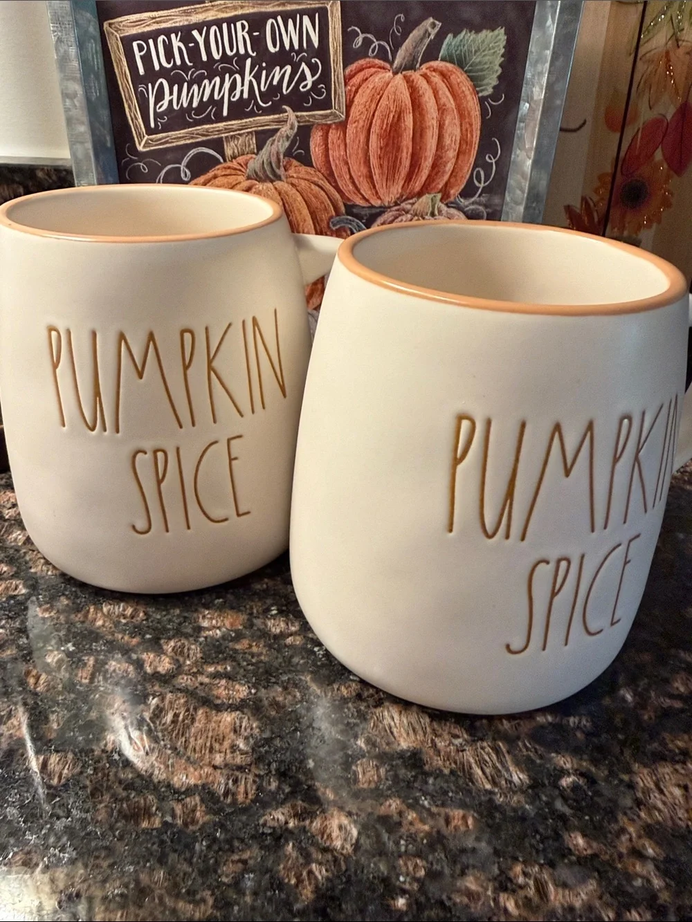 ☕️🍂 Rae Dunn Pumpkin Spice Coffee Mug